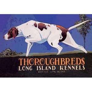    Dogs Thoroughbreds   Long Island Kennels   00011 2