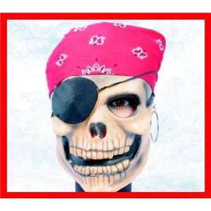    Alexanders Costumes 64 0729 Pirate Skull Mask Toys & Games