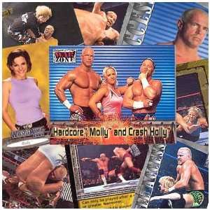 WWE Hollys 20 Trading Card Collectors Set Sports 
