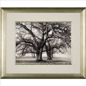  Phoenix Galleries N30837 Two Hearted Oak Framed Print 