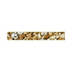  Riverstone Giallo Siena 1.25 x 12 Stone Pebble Mosaic 
