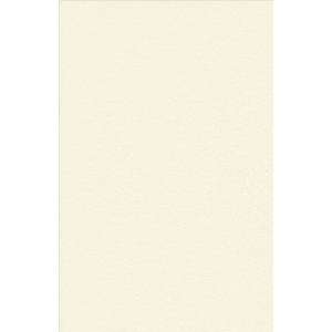  24lb European Parchment Paper   11 x 17   Pergamenta Ivory 