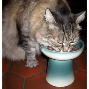  Classy Cat and Dog Raised Stoneware Dry Food or Water Bowl 