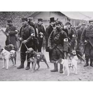  French Red Cross Section with Canine Helpers Leaving For 