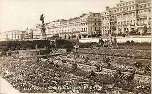 England postcard Brighton Lily Pond Gardens (p10)  