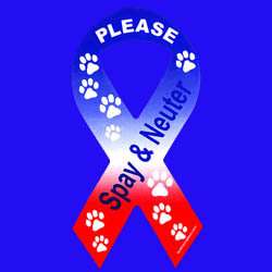 Red White Blue,Spay Neuter Ribbon Magnet,Cat Rescue  