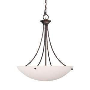  Capital Lighting Ceiling Pendants 4017 3 Light Pendant 