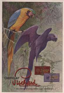 1913 Vintage Ad Suchard Cacao Milka Velma Chocolates Parrots  