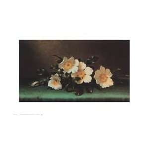  Four Cherokee Roses by Martin Johnson Heade. Best Quality 