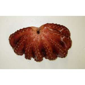 Frozen Whole Cooked Octopus (Yanagi Tako) ~5 lbs  Grocery 
