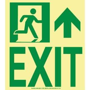 50R 6SN R   NYC Wall Mont Exit Sign, Forward/Right Side, 9 X 8 