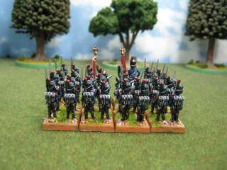 15mm DPS professional painted French Guard Chasseur Fr02  