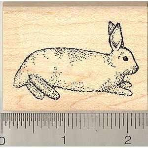  Domestic House Rabbit Taking a Break Rubber Stamp Arts 