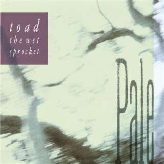  Pale Toad The Wet Sprocket