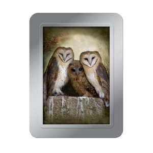 Tree Free Greetings Three Owl Moon Deluxe Playing Cards, Multicolored 