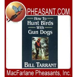  How to Hunt Birds with Gun Dogs 