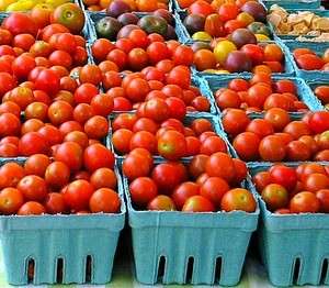    Gardeners Delight tiny tomato 25 seeds sweet heirloom heavy yields