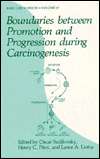 Boundaries Between Promotion and Progression During Carcinogenesis 