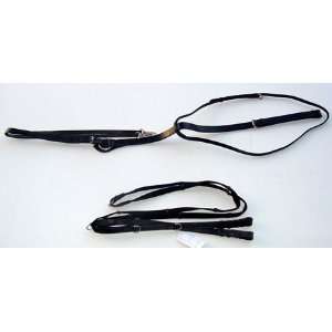  German Olympic Martingale and Reins  Complete Set Sports 