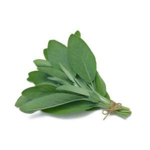 Fresh Herb Tops   Tricolor Sage   1 Grocery & Gourmet Food