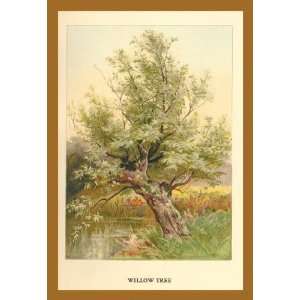Willow Tree 12x18 Giclee on canvas 