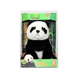  Animal Planet Wild Eyes Panda Bear Toys & Games