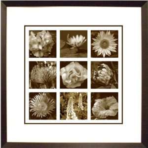  Phoenix Galleries HP155 Nine Flowers Framed Print