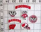 Wisconsin Badgers Logo Iron patch  