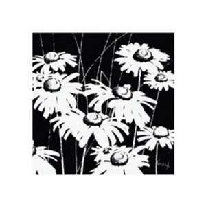  Black and White Daisy by Franz Heigl 12x12 Everything 