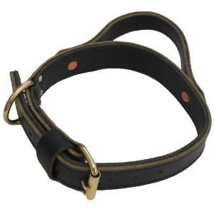  Signature K9 1 1/2 Inch Agitation Collar with Handle 