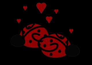Ladybug Dots Hearts Chenille Baby Rag Quilt Crib  