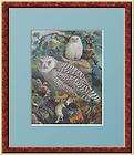 SAW WHET OWL~ COUNTED CROSS STITCH PATTERN
