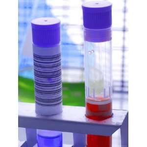  Testtube Used in Research Biotech Genome Genetics 