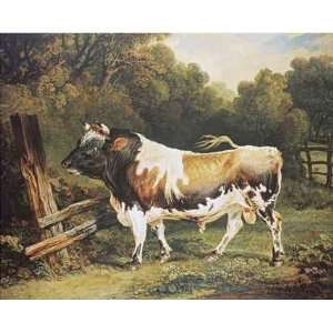  A Bull of The Alderney Breed by James Ward 10.00X8.00. Art 