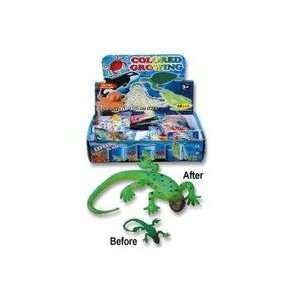  Grow Sea Life 48 Animals and 1 Bottle As Seen on TV Toys & Games