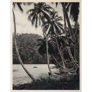  1931 Rio Dulce River Guatemala Caribbean Coast Palm 