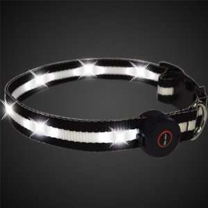  Light Up LED Dog Collars (Large) and Special Gift with 
