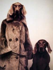 William Wegman Weimaraners Poster, Dog Walker 1990  