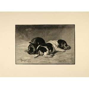  1893 Print John Henry Dolph Kitten Cat Dog Puppy CUTE 