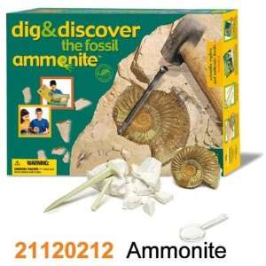  Geoworld Dig and Discover Ammonite Toys & Games