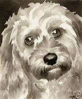COCKAPOO Watercolor Dog ART 13 X 17 Signed by DJR  