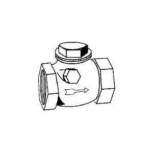  020 1245 1 F Swg Chk Valve