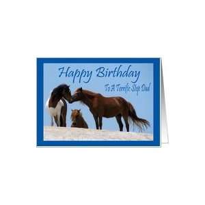  Birthday To Step Dad, wild horses on beach Card Health 