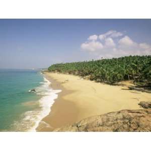  Beach and Coconut Palms, Kovalam, Kerala State, India, Asia 