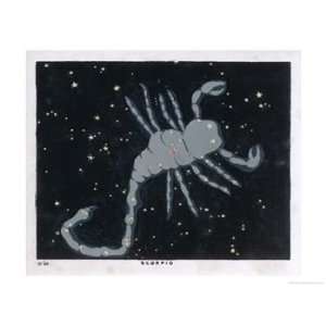  The Constellation of Scorpio the Scorpion Art Giclee 