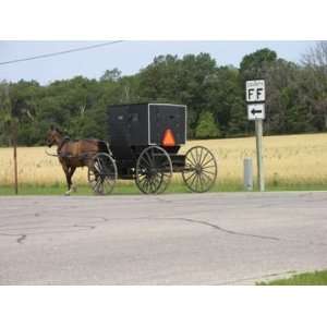  Amish Horse and Buggy Print (4 x 6)