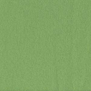  60 Wide Arctic Fleece Apple Green Fabric By The Yard 