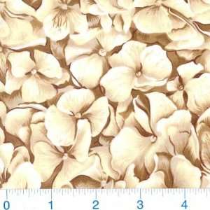  45 Wide In Full Bloom Flowers Natural/Cocoa Fabric By 