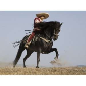  Charro on a Black Andalusian Stallion Galloping in Ojai 