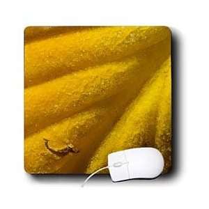     Abstract detail of Fall hosta leaf   Mouse Pads Electronics